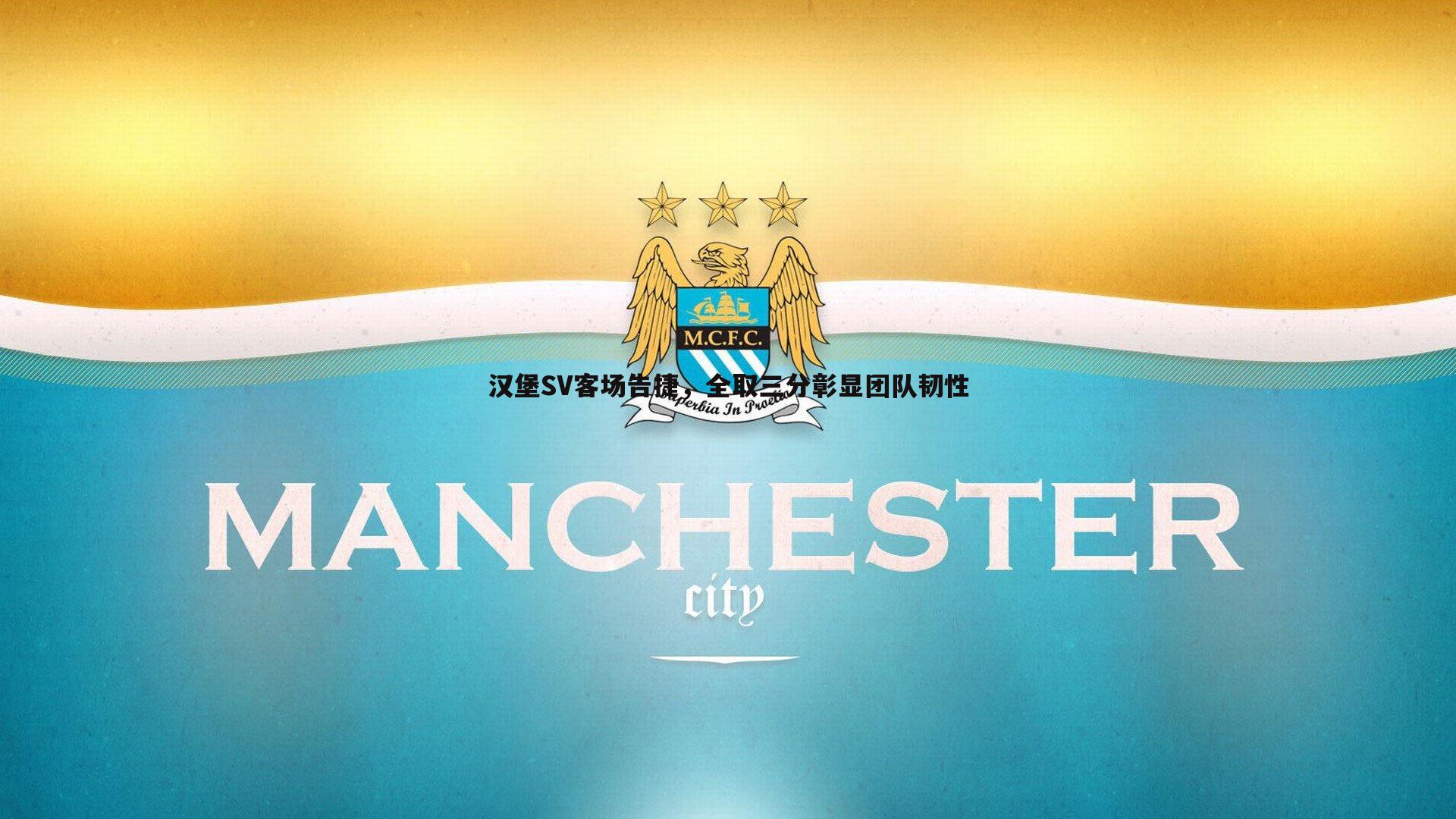 米兰体育-汉堡SV客场告捷，全取三分彰显团队韧性